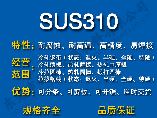 SUS310