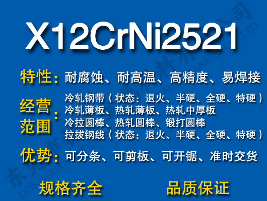 X12CrNi2521