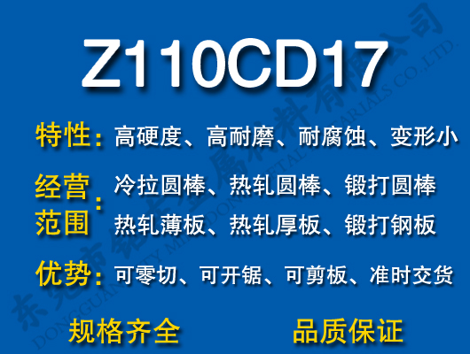 Z110CD17