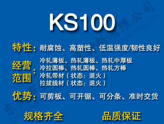 KS100