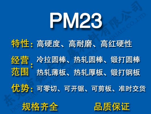 PM23ٸ