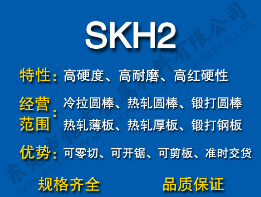 SKH2ٸ