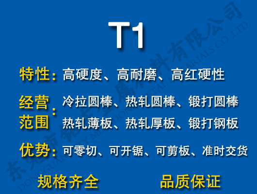 T1ٸ