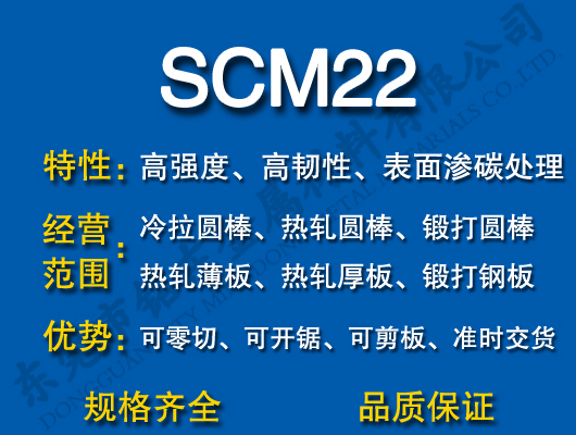 SCM22Ͻ