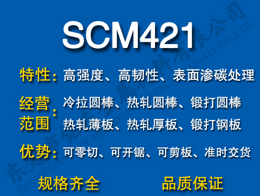 SCM421Ͻ