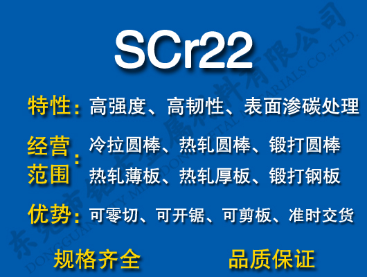 SCr22Ͻ