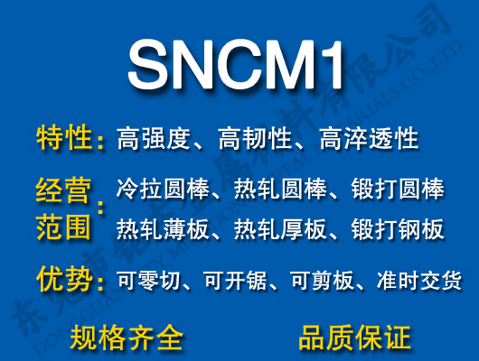 SNCM1Ͻ