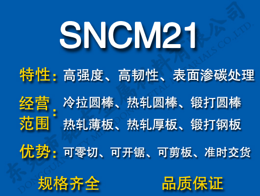 SNCM21Ͻ