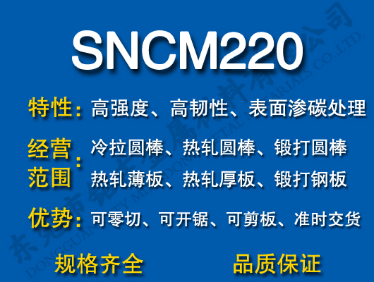 SNCM220Ͻ