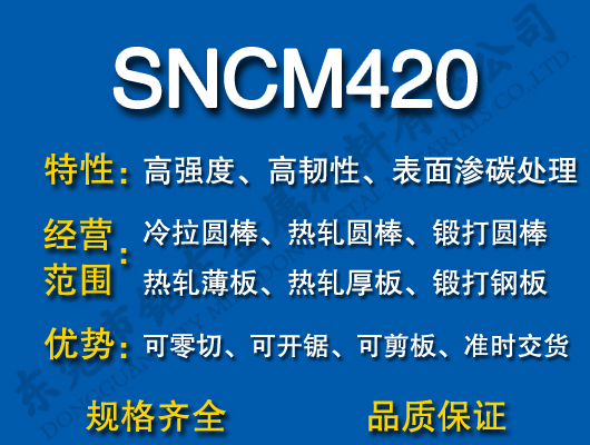 SNCM420Ͻ