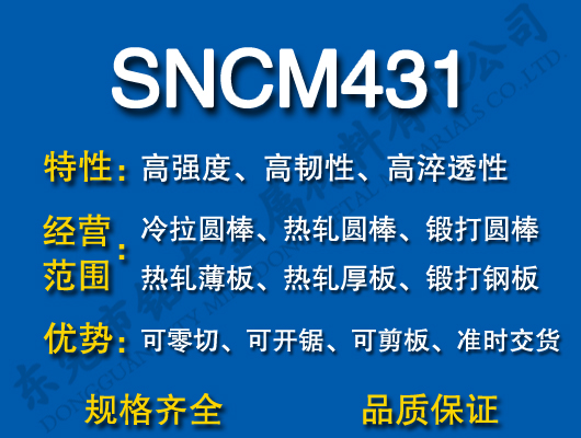 SNCM431Ͻ