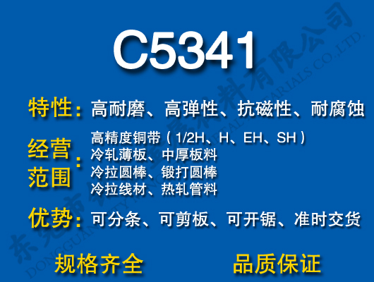 C5341ͭ
