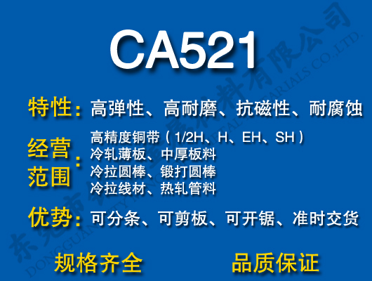 CA521ͭ