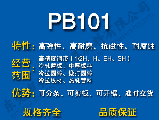 PB101ͭ