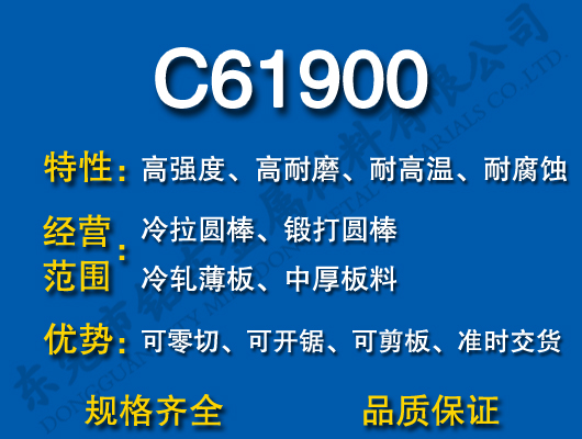 C61900ͭ