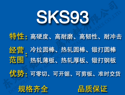 SKS93ģ߸