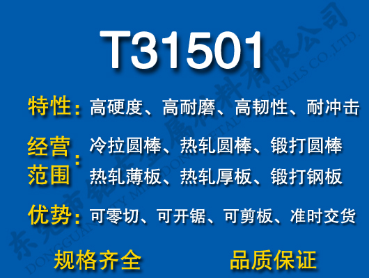 T31501ģ߸