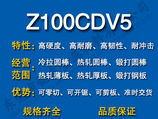 Z100CDV5ģ߸