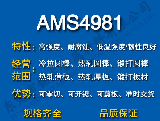 AMS4981ѺϽ