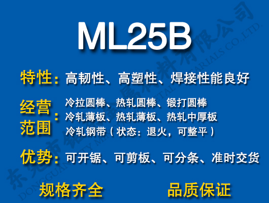 ML25B̼