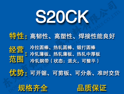 S20CK̼