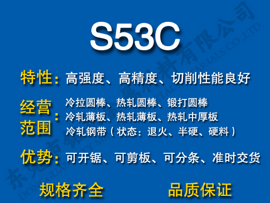 S53C̼