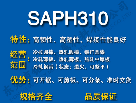 SAPH310̼