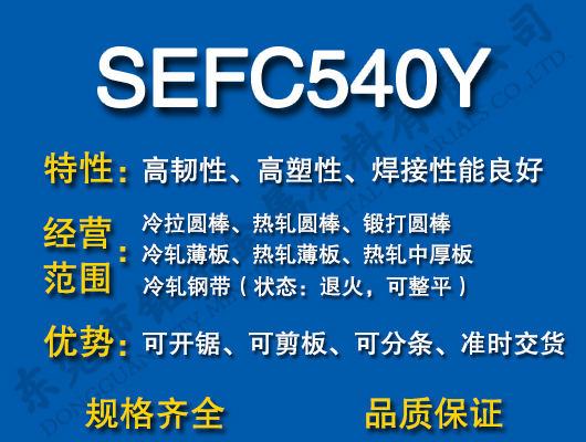 SEFC540Y̼