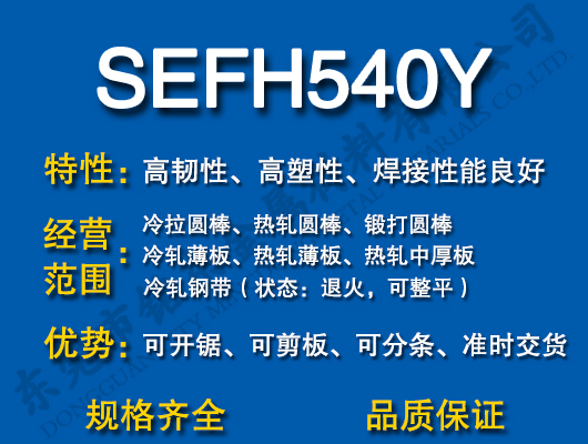 SEFH540Y̼