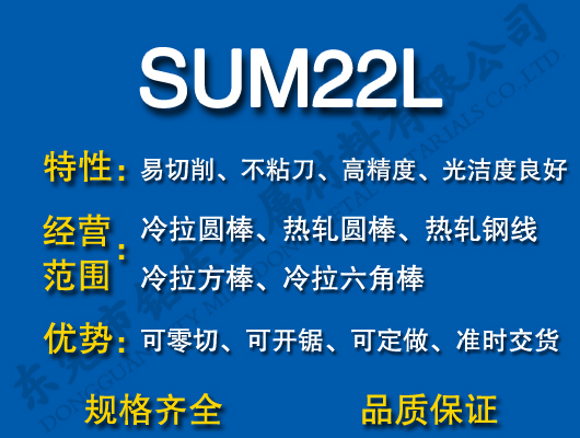 SUM22L