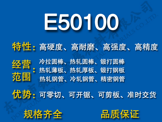 E50100и