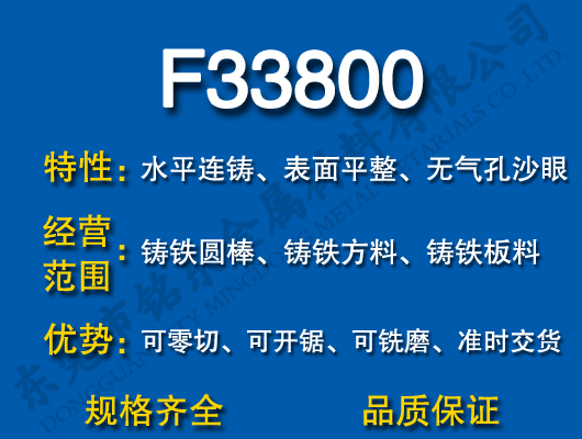 F33800ī