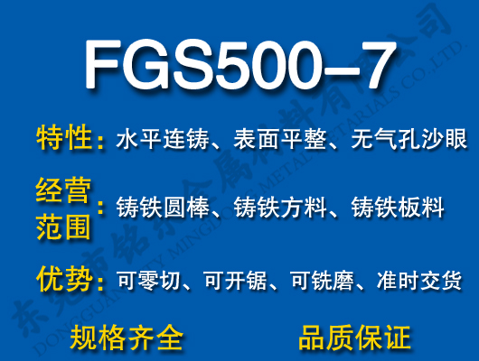FGS500-7ī