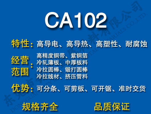 CA102ͭ