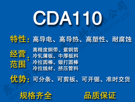 CDA110ͭ/ͭ